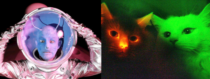Alien and cats as symbolic images for nuclear semiotics 