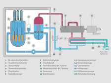 Schematische Darstellung eines Druckwasserreaktors (DWR)