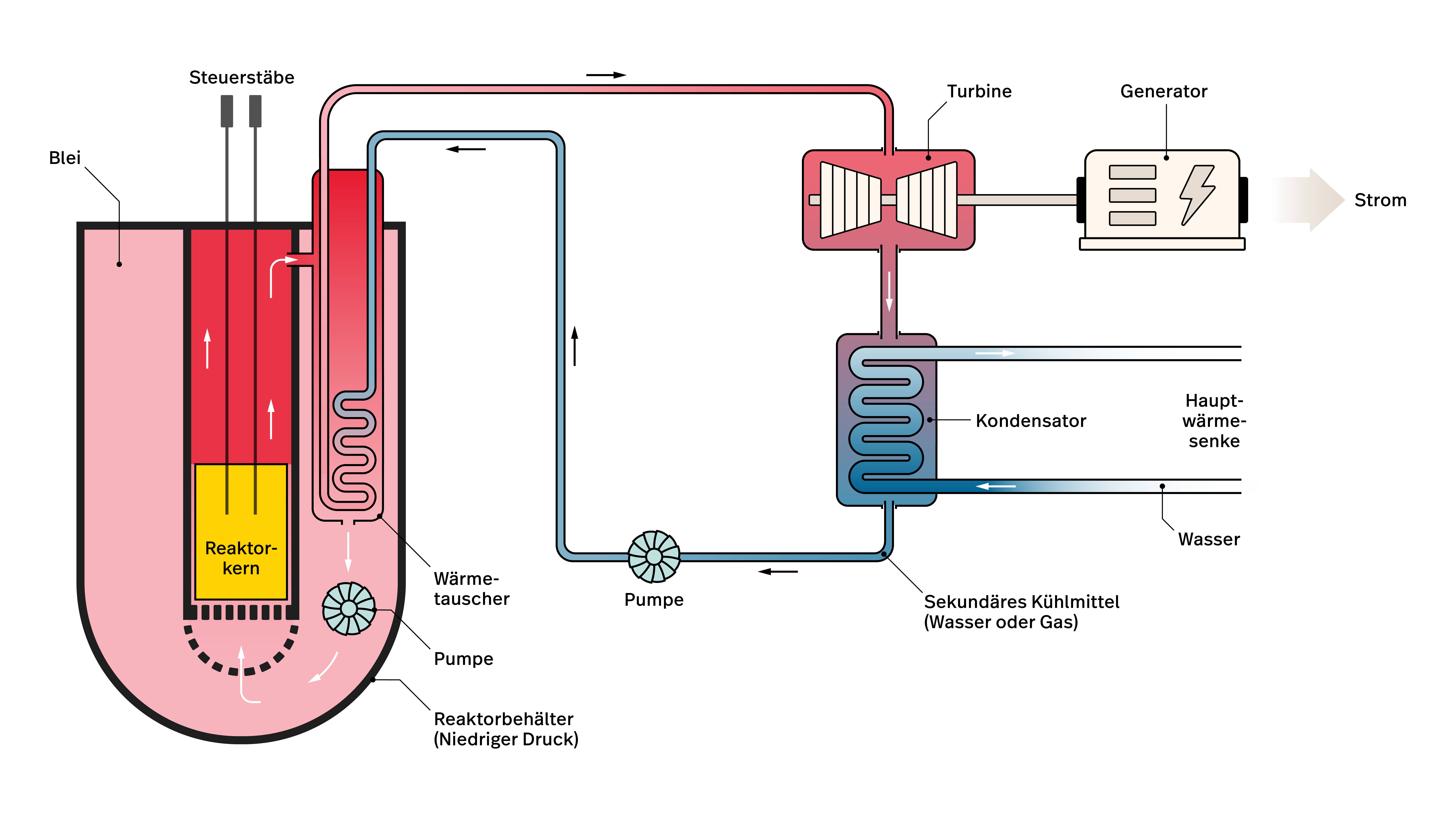 Schematische Darstellung eines Bleigekühlten Schnellen Reaktors