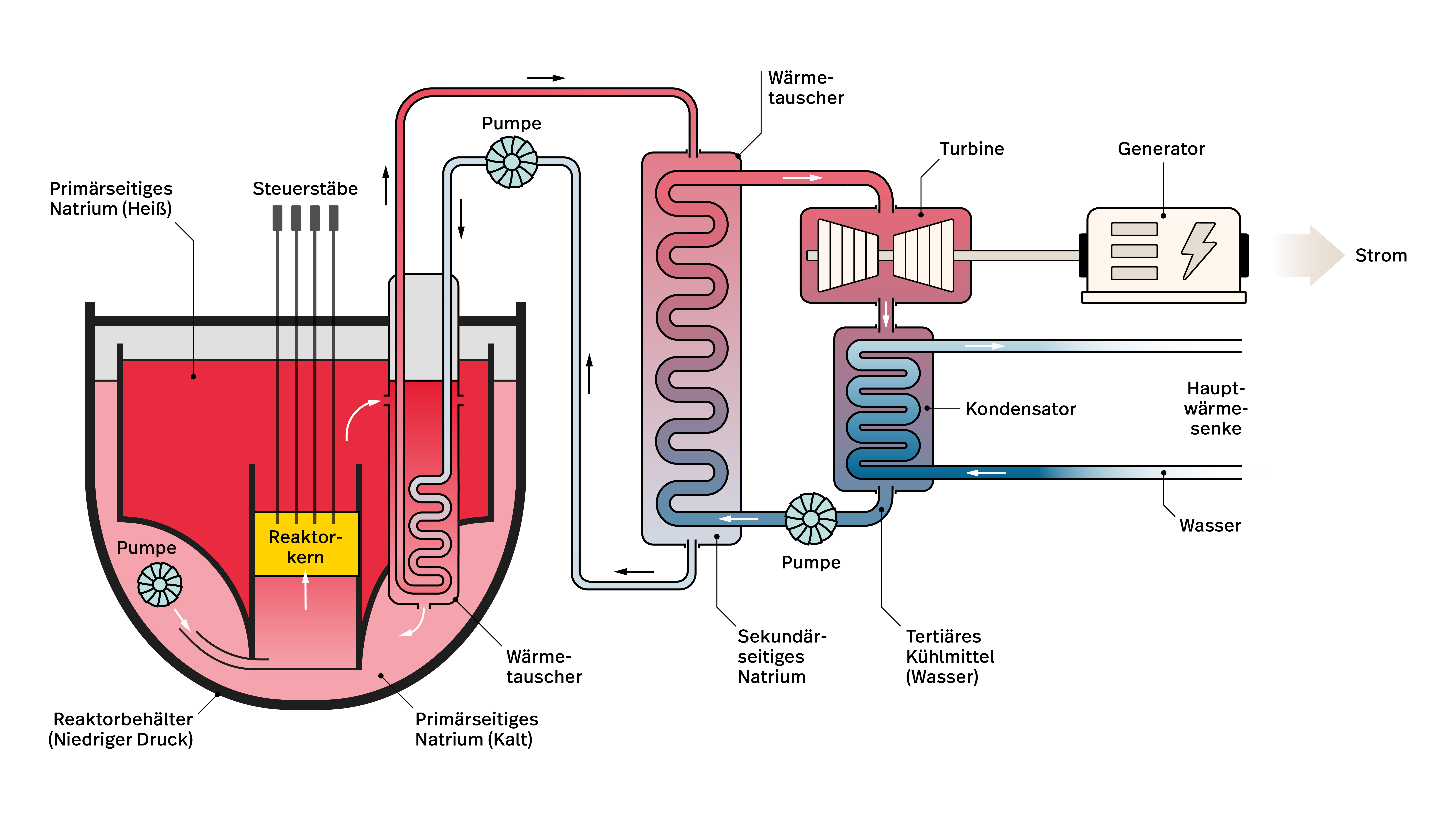 Schematische Darstellung eines Natriumgekühlten Schnellen Reaktors